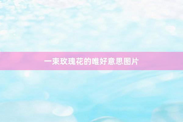 一束玫瑰花的唯好意思图片