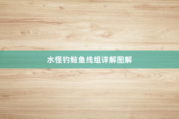 水怪钓鲢鱼线组详解图解