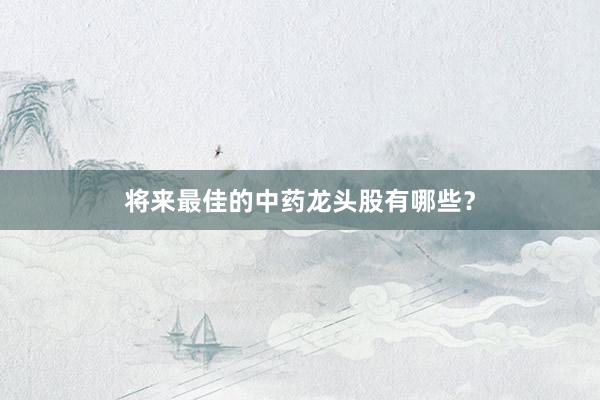 将来最佳的中药龙头股有哪些？